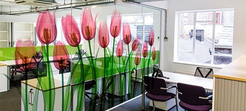 Перегородка из стекла с цветным рисунком Перегородка из стекла с цветным рисунком