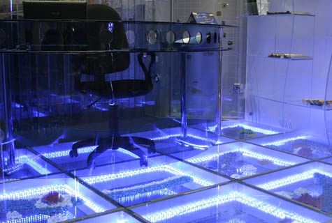 Полы с подсветкой смотрятся просто фантастически Полы с подсветкой смотрятся просто фантастически