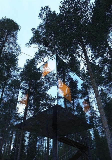 Отель на дереве в Швеции